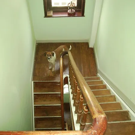 Appartement Olga Blankenberge