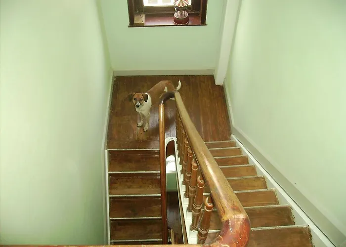 Appartement Olga Blankenberge